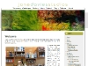 janedaviesstudio